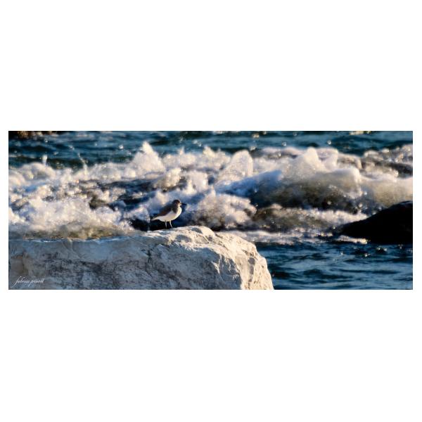 PHOTO84, CLUB, 84 , LUBERON